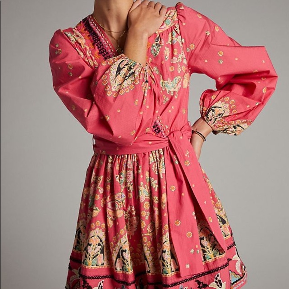 NWT - Raquel Embroidered Mini Dress - Picture 3 of 13